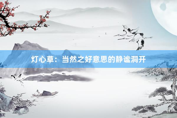 灯心草：当然之好意思的静谧洞开