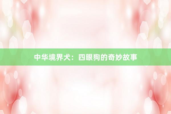 中华境界犬：四眼狗的奇妙故事